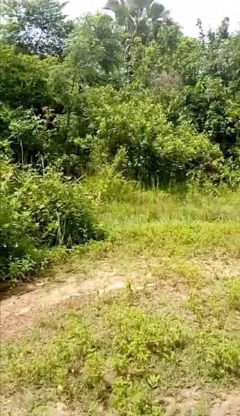 Jacqueville 70 ha · Bocanda 500 ha · Guitry 3 000 et 5 000 ha · Bouaflé 579 ha · Agboville 10 et 30 ha